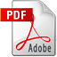 pdf icon2